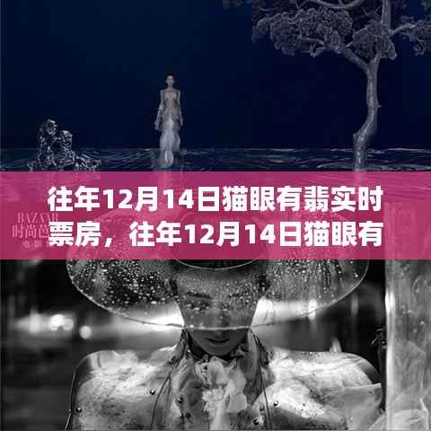 揭秘往年12月14日貓眼有翡實時票房，數(shù)據(jù)背后的爭議與觀點洞察