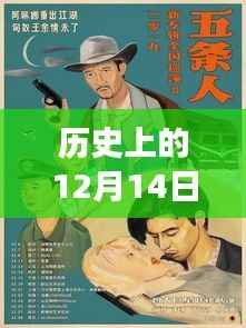 全新冠時代下的自然秘境之旅，歷史上的十二月十四日回顧與實時動態(tài)