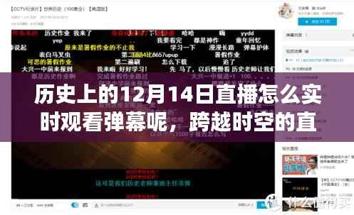 歷史直播新視角，實(shí)時(shí)彈幕互動(dòng)與跨越時(shí)空的啟示，激發(fā)自信與成就的力量之源