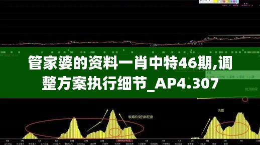 管家婆的資料一肖中特46期,調(diào)整方案執(zhí)行細(xì)節(jié)_AP4.307