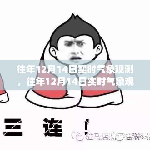 往年12月14日實時氣象觀測深度探討及其意義與影響分析
