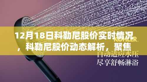 科勒尼股價動態(tài)解析，聚焦十二月十八日的股價波動與實時情況