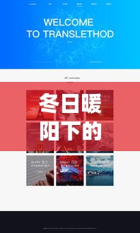 冬日暖陽下的實(shí)時(shí)翻譯，Windows網(wǎng)頁與友情的交織故事