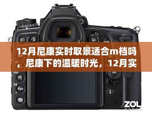 尼康十二月實時取景，揭秘M檔下的溫暖時光與秘密