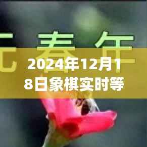 躍動智慧之光，2024年象棋實時等級分app，開啟逆襲之旅