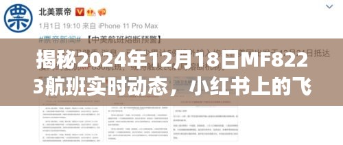 小紅書獨(dú)家揭秘，MF8223航班2024年12月18日實(shí)時(shí)飛行日志全記錄
