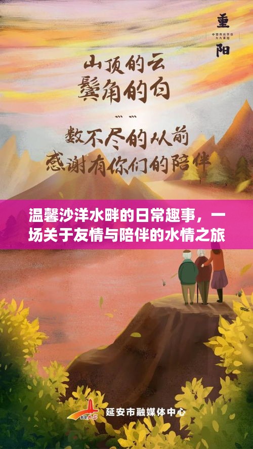沙洋水畔的友情與陪伴之旅，日常趣事探秘