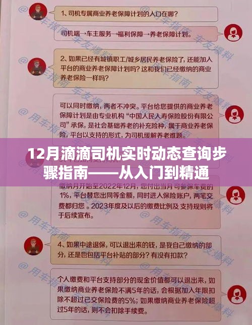 12月滴滴司機(jī)實(shí)時動態(tài)查詢?nèi)ヂ?，入門到精通指南