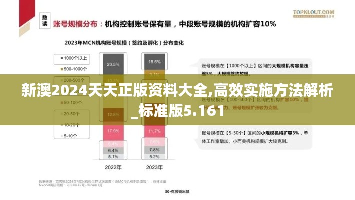新澳2024天天正版資料大全,高效實(shí)施方法解析_標(biāo)準(zhǔn)版5.161