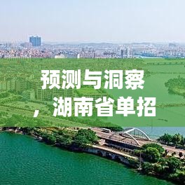 湖南省單招人數(shù)實時統(tǒng)計預(yù)測與洞察，展望至2024年12月