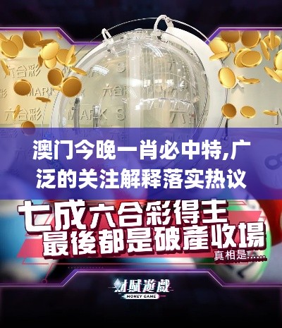 澳門今晚一肖必中特,廣泛的關(guān)注解釋落實熱議_8K5.737
