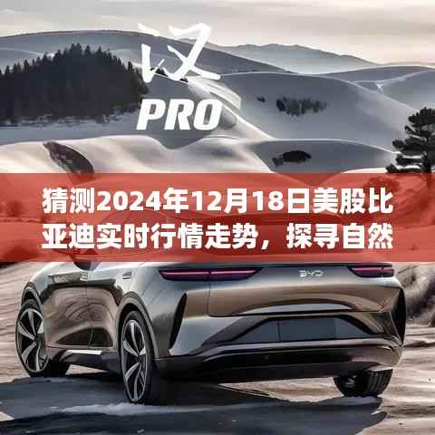 探尋自然之美與預測之旅，預測比亞迪在美股的明天與心靈寧靜的探尋