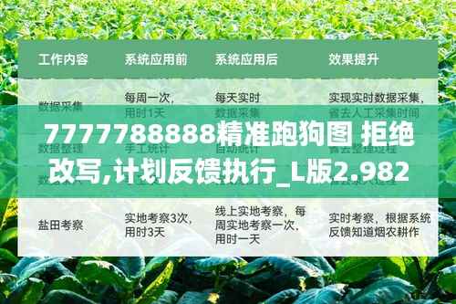 7777788888精準(zhǔn)跑狗圖 拒絕改寫,計劃反饋執(zhí)行_L版2.982
