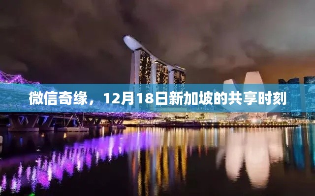 微信奇緣，新加坡共享時刻的奇遇（12月18日）