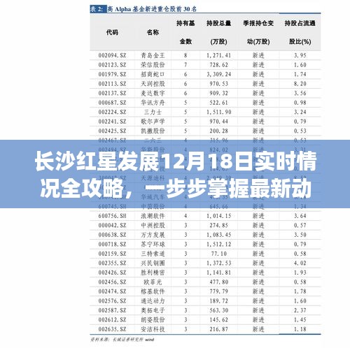 長沙紅星發(fā)展最新動態(tài)全攻略，12月18日實時更新，掌握最新發(fā)展步伐