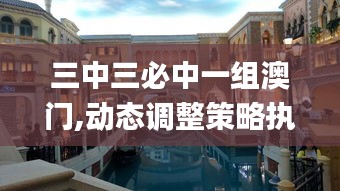 三中三必中一組澳門,動態(tài)調(diào)整策略執(zhí)行_10DM13.473