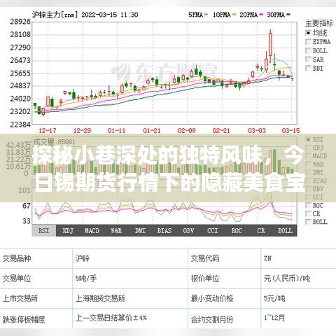 小巷深處的隱藏美食寶藏，今日錫期貨行情下的美食探秘