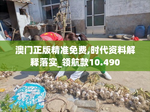 澳門正版精準(zhǔn)免費(fèi),時(shí)代資料解釋落實(shí)_領(lǐng)航款10.490