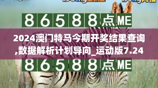 2024澳門特馬今期開(kāi)獎(jiǎng)結(jié)果查詢,數(shù)據(jù)解析計(jì)劃導(dǎo)向_運(yùn)動(dòng)版7.240