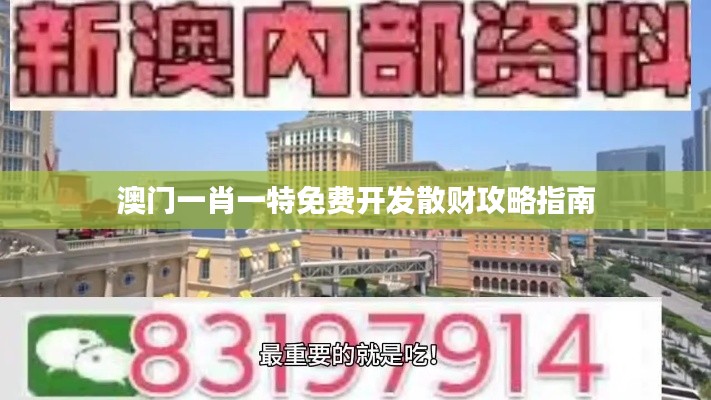 澳門一肖一特免費開發(fā)散財攻略指南