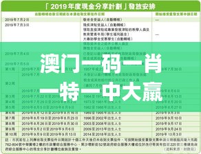 澳門一碼一肖一特一中大羸家,經(jīng)驗(yàn)分享解答落實(shí)_nShop3.945