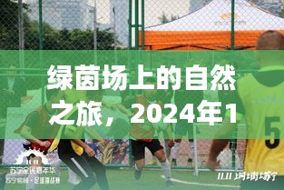 綠茵場上的心靈之旅，決戰(zhàn)沙特隊，探尋寧靜之美——2024年12月18日紀事