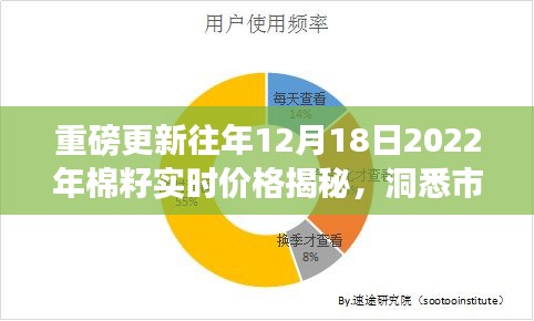 揭秘往年棉籽實時價格走勢，洞悉市場趨勢重磅報告發(fā)布！