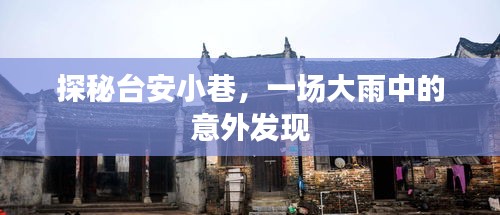 臺(tái)安小巷的雨中探秘，意外之美