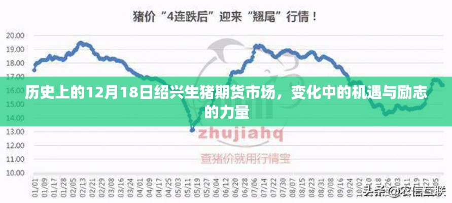 紹興生豬期貨市場，歷史機遇下的勵志力量與變革之路