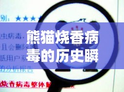 熊貓燒香病毒的歷史瞬間，科技重塑病毒防御與生活安全之路
