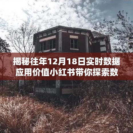 小紅書帶你探索數(shù)據(jù)奧秘，揭秘歷年12月18日實(shí)時數(shù)據(jù)應(yīng)用價值背后的無限可能！