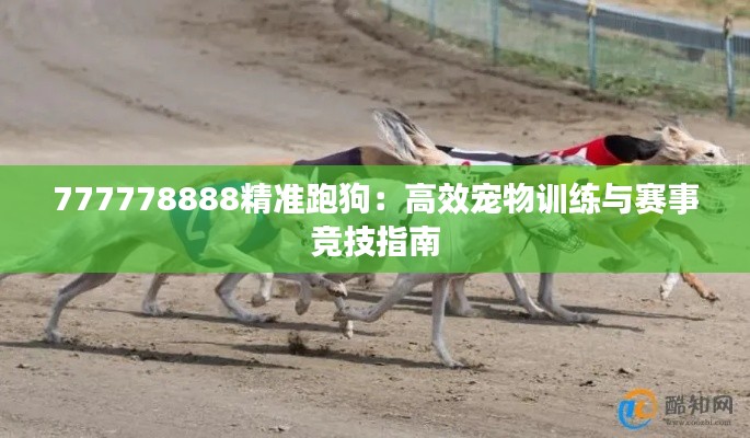777778888精準(zhǔn)跑狗：高效寵物訓(xùn)練與賽事競技指南