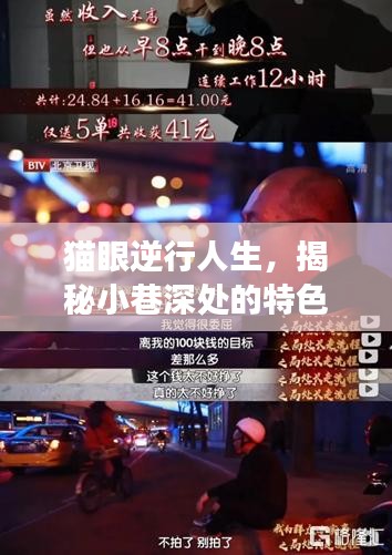 貓眼視角下的逆襲人生，小巷特色小店的實(shí)時(shí)數(shù)據(jù)揭秘之旅
