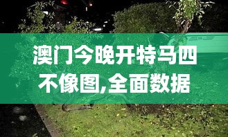澳門(mén)今晚開(kāi)特馬四不像圖,全面數(shù)據(jù)解析執(zhí)行_VIP8.840