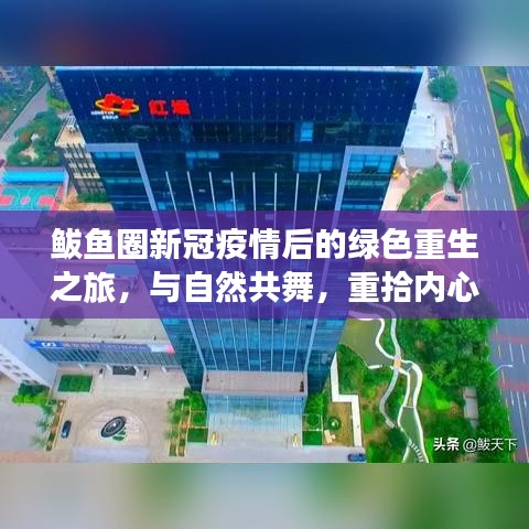 鲅魚(yú)圈疫情后綠色重生之旅，與自然和諧共舞，重拾內(nèi)心寧?kù)o