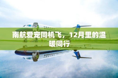 南航愛寵同機(jī)飛，12月溫馨伴行