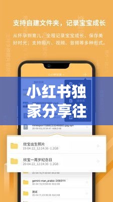 小紅書揭秘，如何在12月18日輕松實(shí)現(xiàn)手機(jī)實(shí)時(shí)投屏到臺(tái)式電腦？