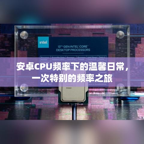 安卓CPU頻率下的特別體驗(yàn)，溫馨日常的頻率之旅