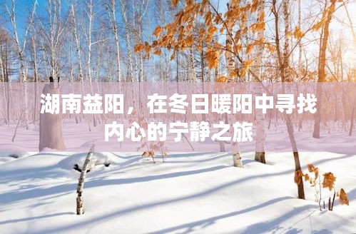 湖南益陽，冬日暖陽中的心靈寧靜之旅