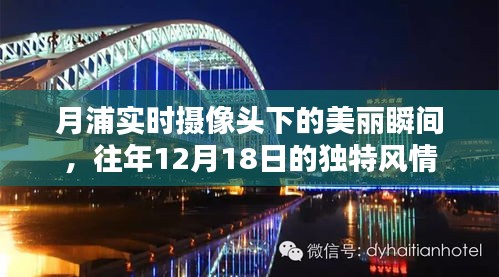 月浦實時攝像頭記錄，往年12月18日的獨特風情瞬間