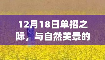 12月18日單招之旅，與自然美景的不期而遇，內(nèi)心平靜的奇妙尋找