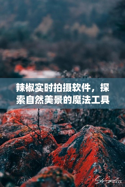 辣椒實(shí)時(shí)拍攝軟件，探索自然美景的魔法工具，心靈之旅的奇妙啟程