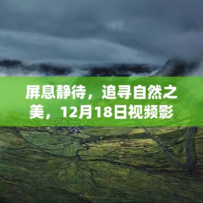 屏息追尋自然之美，視頻影像實(shí)時(shí)傳輸之旅開啟