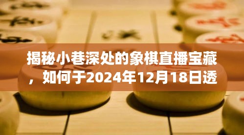 揭秘象棋直播寶藏，智慧與技巧的財(cái)富之路，探尋小巷深處的機(jī)遇與挑戰(zhàn)——2024年象棋直播指南