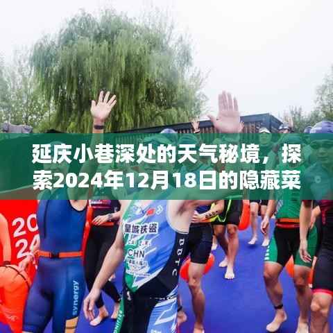 延慶小巷深處的天氣秘境，隱藏菜單與天氣驚喜探索之旅（XXXX年XX月XX日）