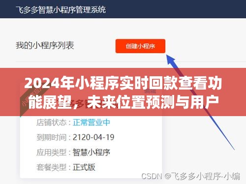 2024年小程序?qū)崟r(shí)回款查看功能展望，未來(lái)位置預(yù)測(cè)與用戶體驗(yàn)深度探討