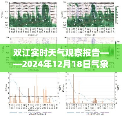 雙江實時天氣觀察報告，氣象分析與觀察結果（XXXX年XX月XX日）