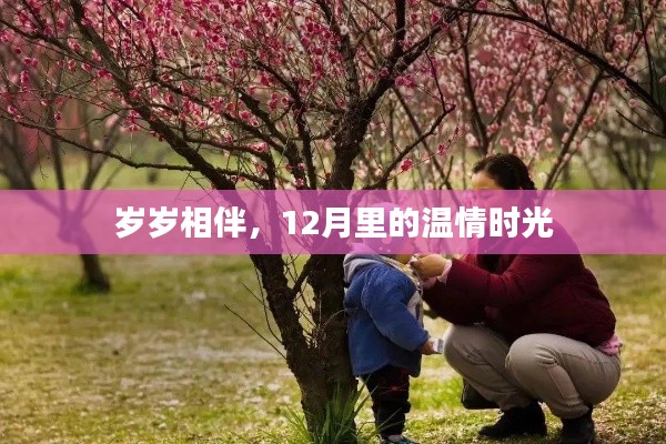 12月溫情時光，歲歲相伴的陪伴季