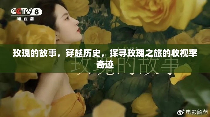 玫瑰之旅，歷史收視率奇跡的探尋之旅