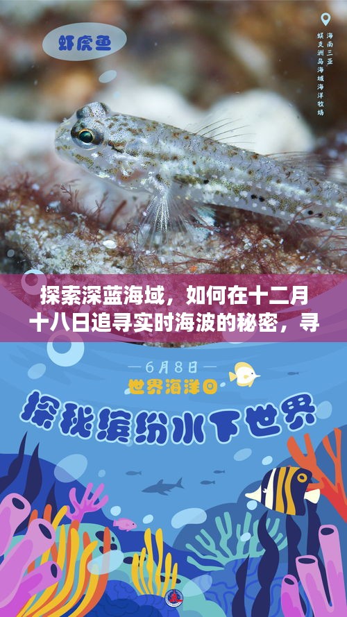 十二月十八日探尋實時海波的秘密，深藍海域的心靈之旅尋找內(nèi)心寧靜